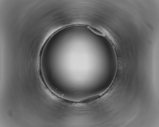 X0000112091140200908041445