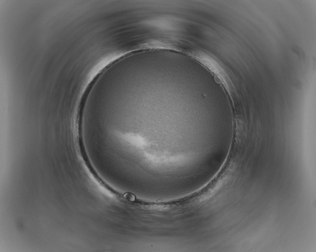 X0000112091141200908041445