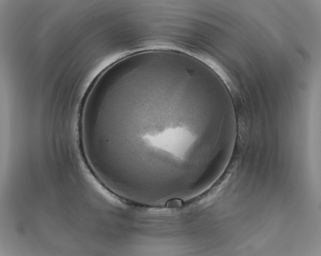 X0000112091142200908041445