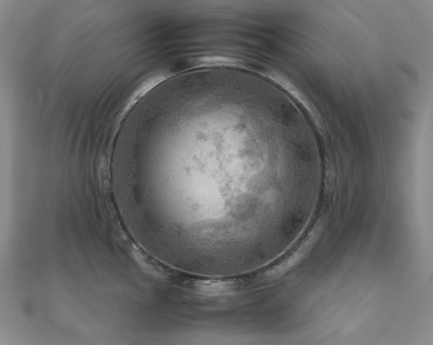 X0000112091145200908041445