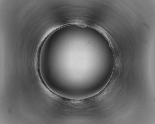 X0000112091147200908041445