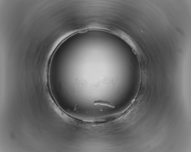 X0000112091148200908041445