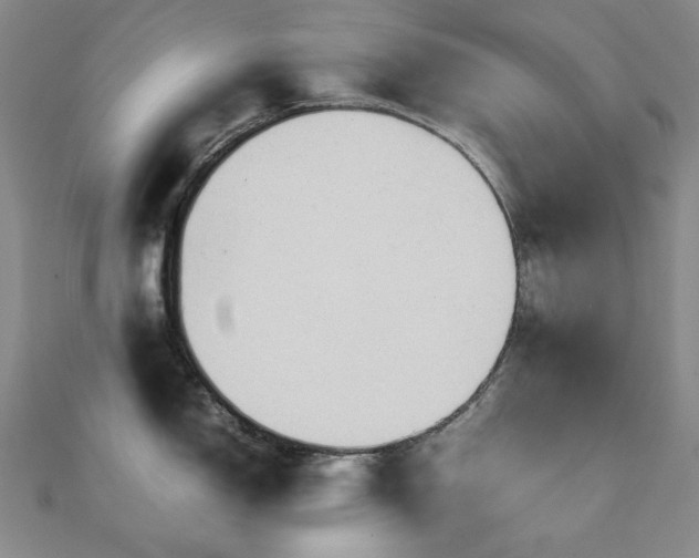 X0000112091150200908041445