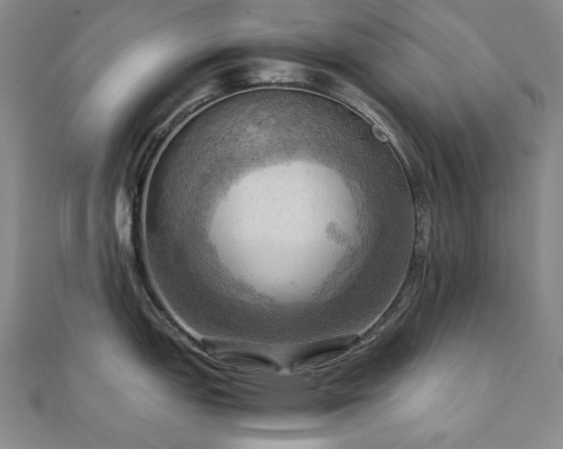 X0000112091151200908041445