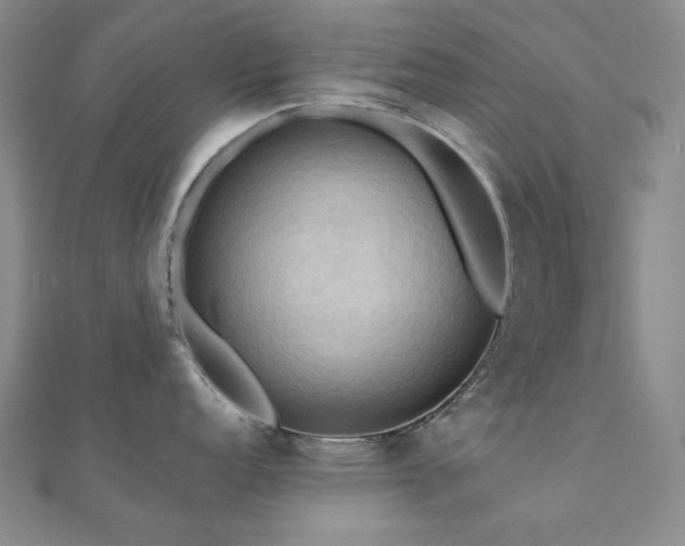 X0000112091152200908041445
