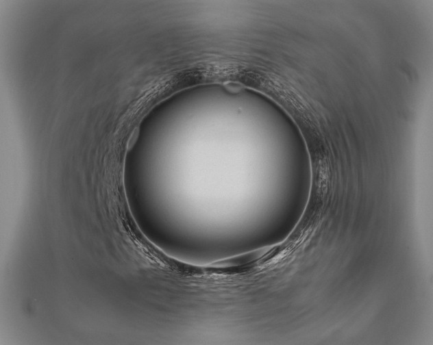 X0000112091153200908041444