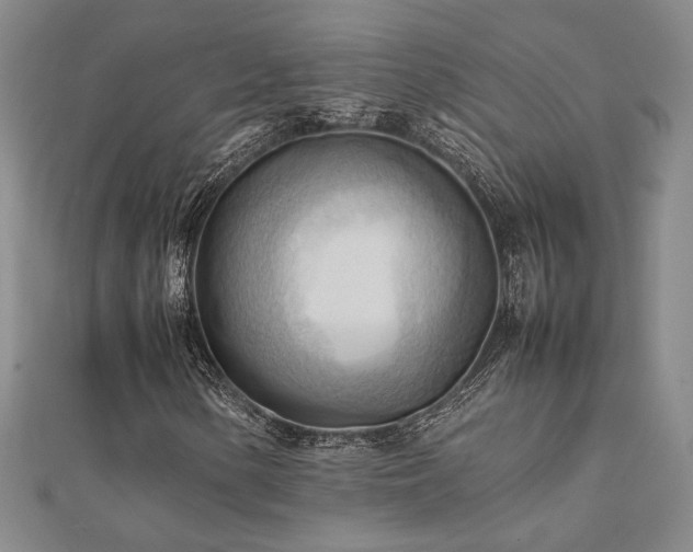 X0000112091154200908041444