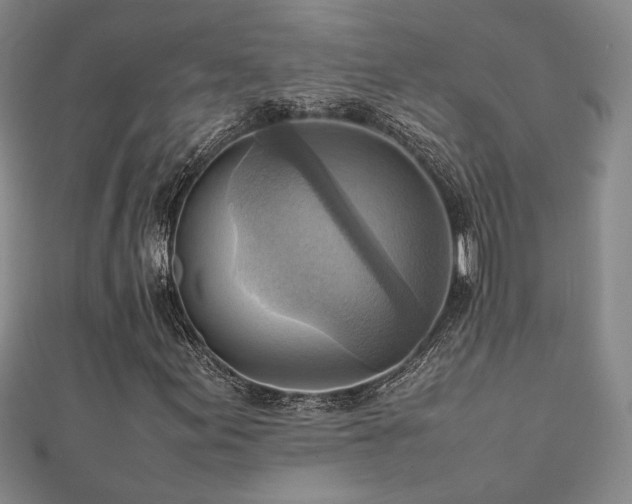 X0000112091155200908041444