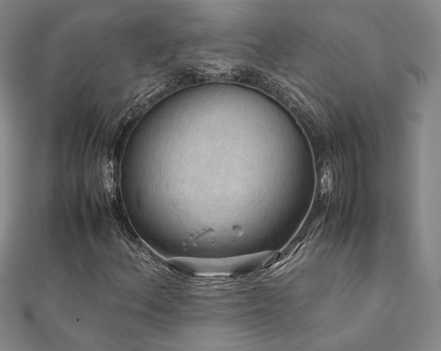 X0000112091156200908041444