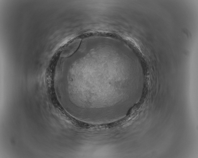 X0000112091159200908041444