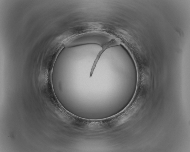 X0000112091161200908041444