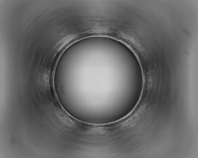 X0000112091162200908041444