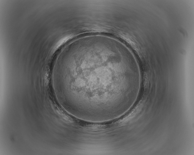 X0000112091163200908041444