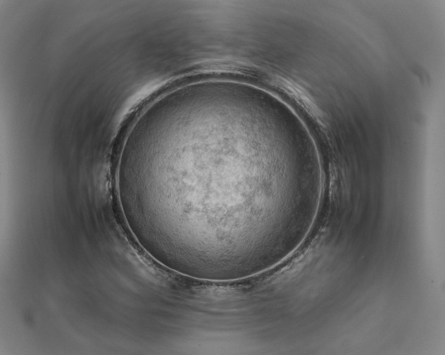 X0000112091164200908041444