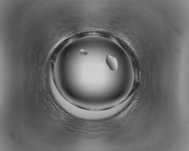 X0000112091165200908041444