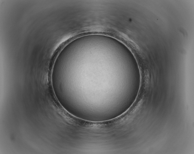 X0000112091166200908041444