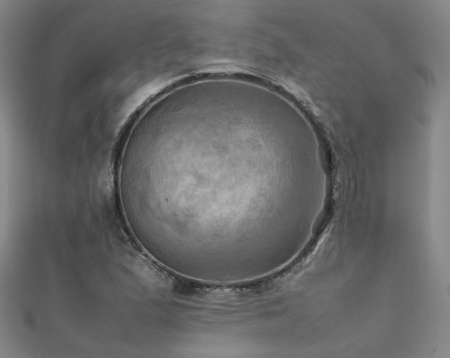 X0000112091167200908041444