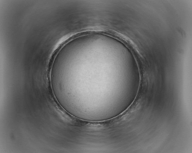 X0000112091168200908041444