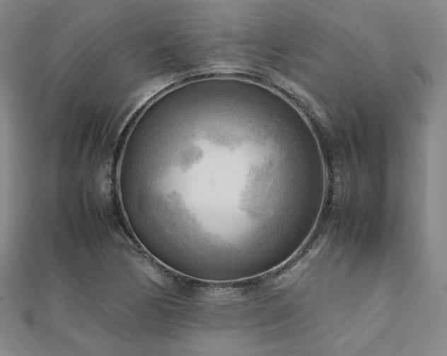 X0000112091170200908041444