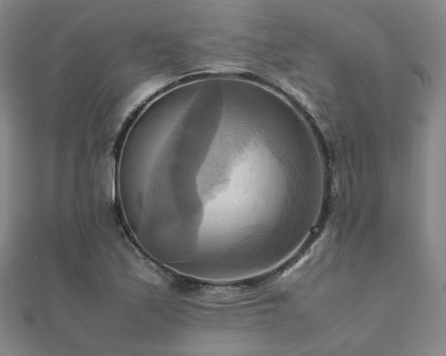 X0000112091171200908041444