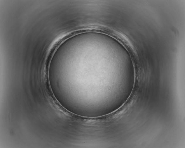 X0000112091172200908041444