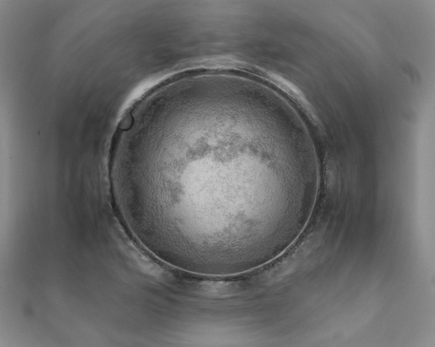 X0000112091176200908041444
