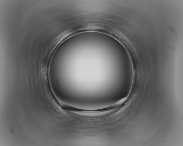 X0000112091177200908041444