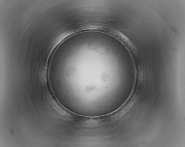 X0000112091178200908041444