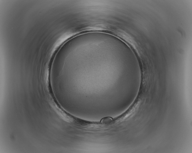 X0000112091179200908041444
