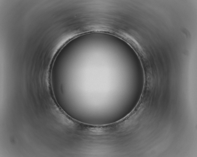 X0000112091182200908041444