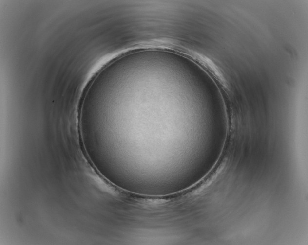 X0000112091184200908041444