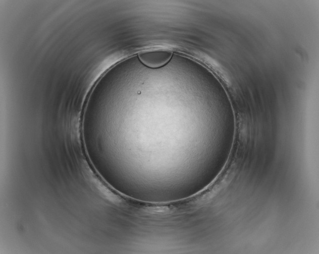 X0000112091186200908041444