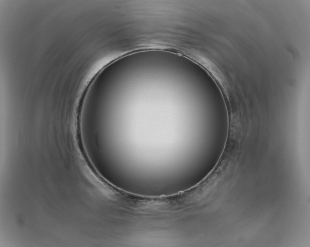 X0000112091187200908041444