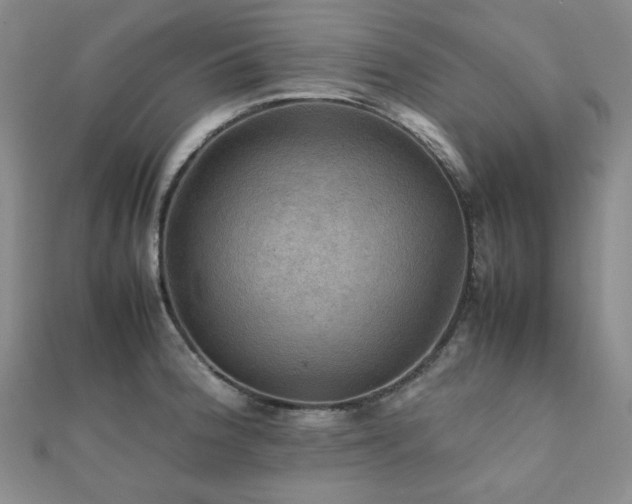 X0000112091188200908041444