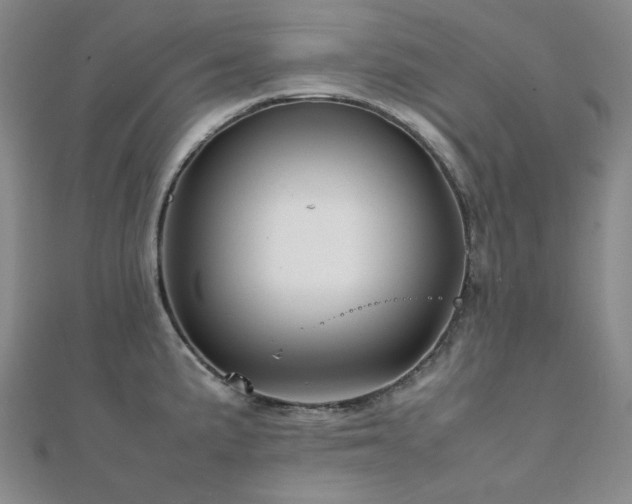 X0000112091191200908041444