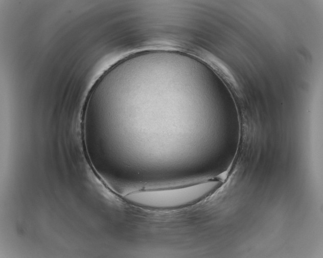 X0000112091192200908041444