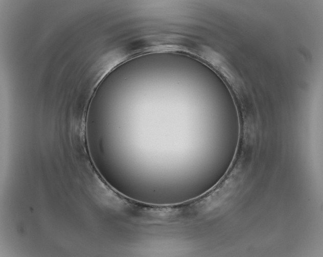 X0000112091193200908041444