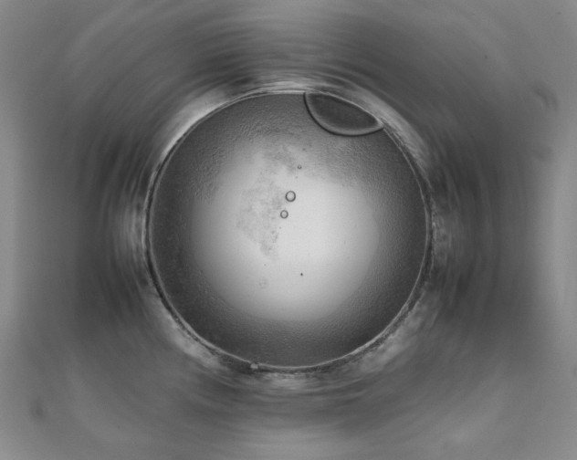 X0000112091194200908041444