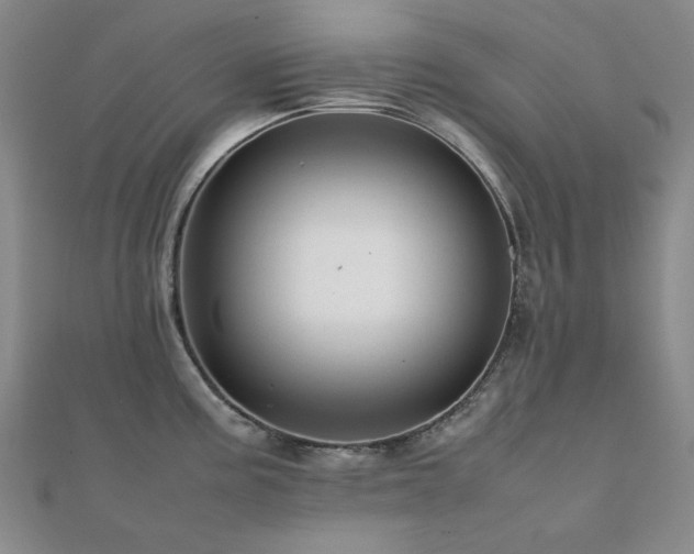 X0000112091195200908041444