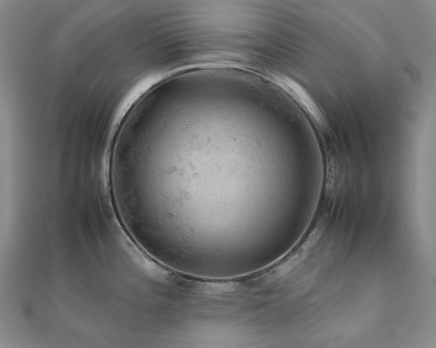 X0000112091196200908041444