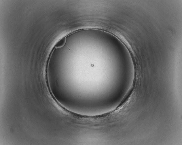 X0000112091197200908041444
