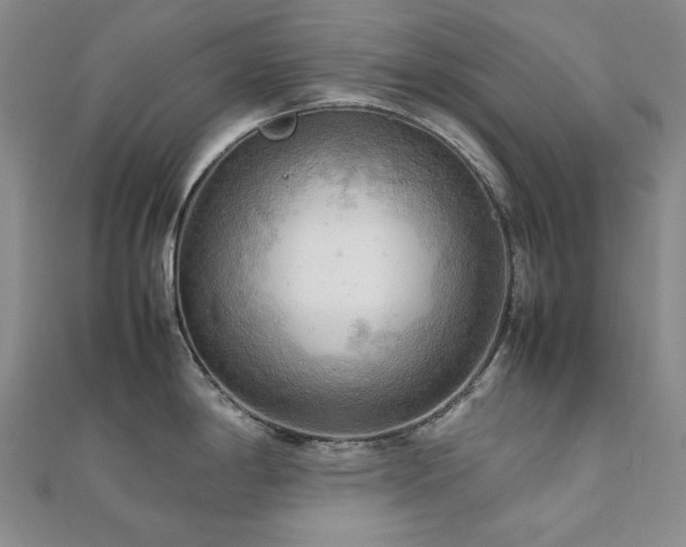X0000112091198200908041444