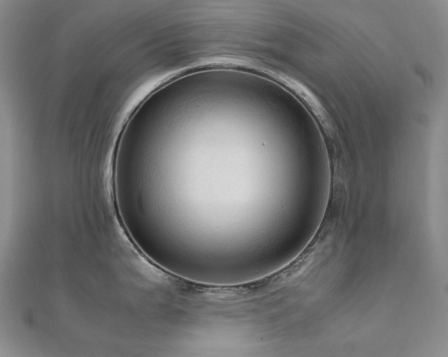 X0000112091199200908041444
