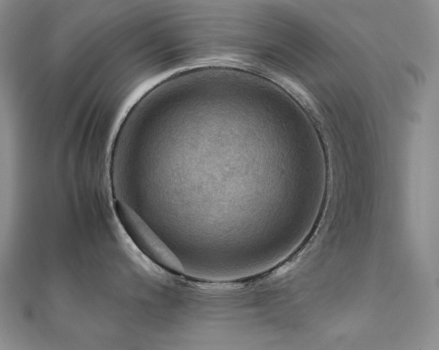 X0000112091200200908041444