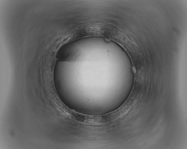 X0000112091201200908041443