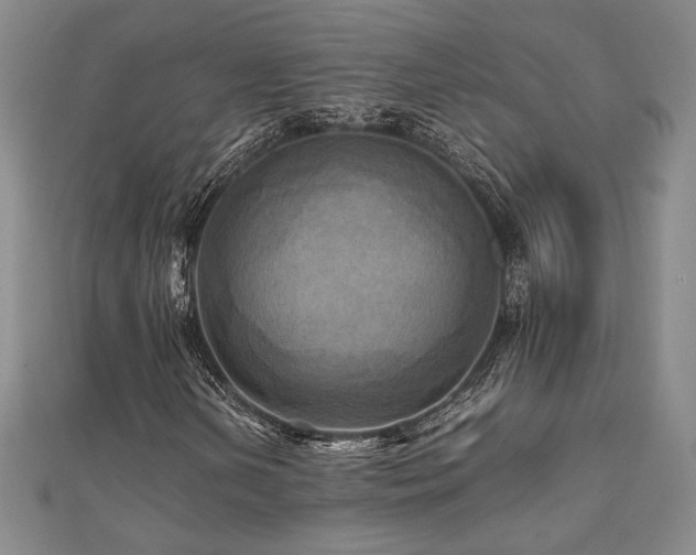 X0000112091202200908041443
