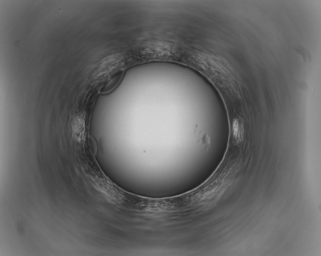 X0000112091203200908041443