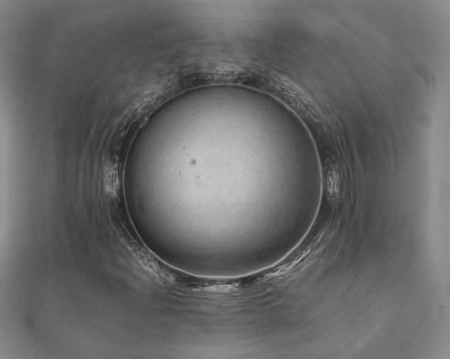 X0000112091204200908041443