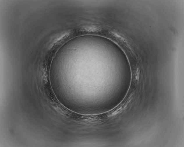 X0000112091205200908041443