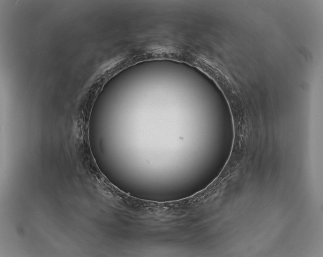 X0000112091207200908041443